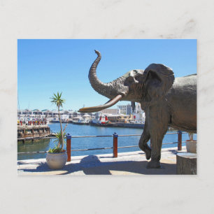 Afrikaans olifantenstandbeeld in Kaapstad Briefkaart