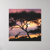 Afrikaans Safari Landschap op Sunset Canvas Print (Voorkant)