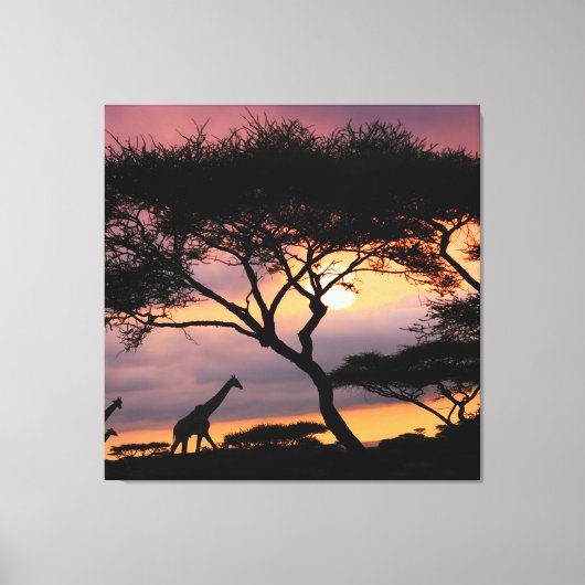 Afrikaans Safari Landschap op Sunset Canvas Print (Voorkant)