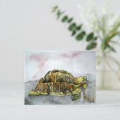 afrikaans schildpad briefkaarten schildpad (Staand voorkant)