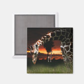 Afrikaans schoolveld magneet (Voorkant / Achterkant)