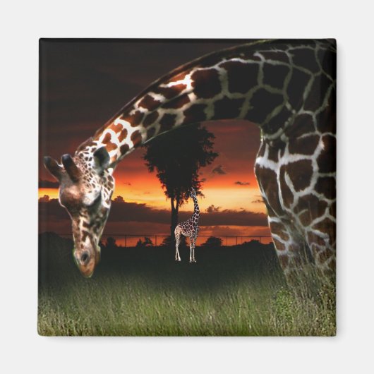 Afrikaans schoolveld magneet (Voorkant)