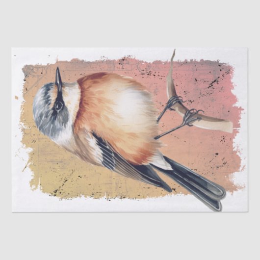 Afrikaans Stonechat Vogelweefsel Papier (Voorkant)