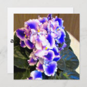 Afrikaans Violet Blauw Kaart (Voorkant / Achterkant)