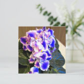 Afrikaans Violet Blauw Kaart (Staand voorkant)