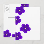 Afrikaans Violet Briefkaart (Voorkant / Achterkant)