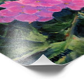 Afrikaans Violet Foto Afdruk (Hoek)