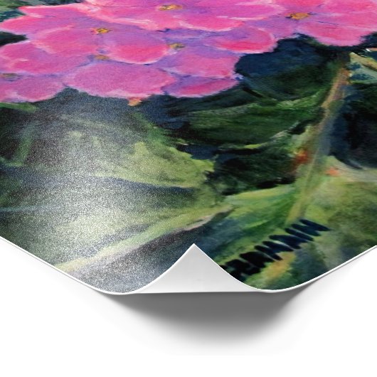 Afrikaans Violet Foto Afdruk (Hoek)