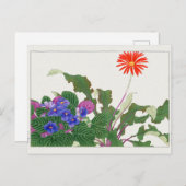 Afrikaans violet, Gerbera van Tanigami Konan Briefkaart (Voorkant / Achterkant)