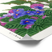 Afrikaans violet, Gerbera van Tanigami Konan Poster (Hoek)