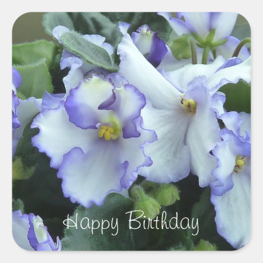 Afrikaans Violet Happy Birthday stickers (Voorkant)