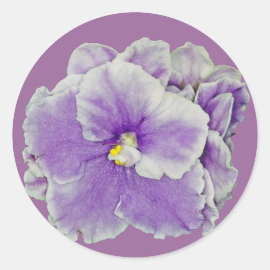 Afrikaans Violet Paars Ronde Sticker (Voorkant)