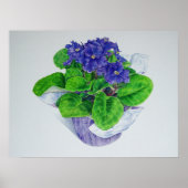 Afrikaans Violet Poster (Voorkant)