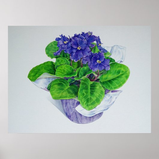 Afrikaans Violet Poster (Voorkant)