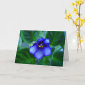 Afrikaans Viooltje Kaart (Gele Bloem)