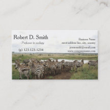 Afrikaans wild dier zebra wetenschap professioneel