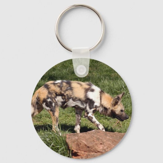 afrikaans-wild-dog-010 sleutelhanger (Voorkant)