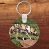 afrikaans-wild-dog-010 sleutelhanger (Voorkant)