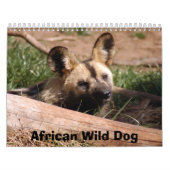 afrikaans-wild-dog-012, African Wild Dog Kalender (Hoes)