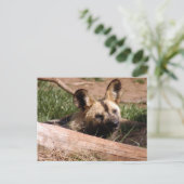 afrikaans-wild-dog-012 briefkaart (Staand voorkant)