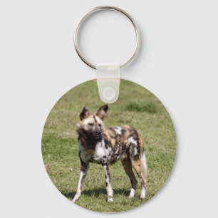 afrikaans-wild-dog-014 sleutelhanger