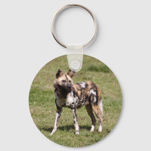 afrikaans-wild-dog-015 sleutelhanger (Voorkant)