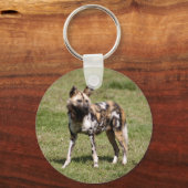 afrikaans-wild-dog-015 sleutelhanger (Voorkant)