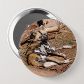 afrikaans-wild-dog-018 ronde button 4,0 cm (Voorkant /achterkant)