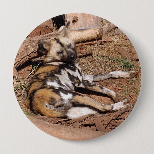 afrikaans-wild-dog-018 ronde button 4,0 cm (Voorkant)