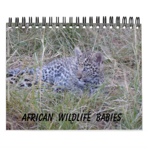 AFRIKAANS WILDLIFE BABIES CALENDAR KALENDER