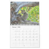 AFRIKAANS WILDLIFE BABIES CALENDAR KALENDER (Feb 2026)