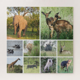 Afrikaanse african legpuzzel