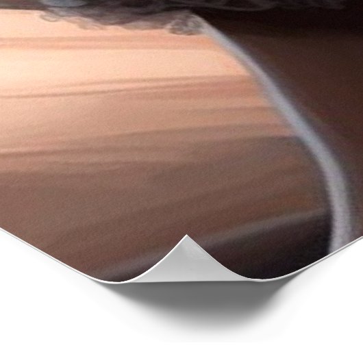 Afrikaanse Amerikaanse ballerina, meisje dat van b Poster (Hoek)