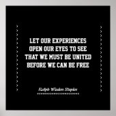 Afrikaanse Amerikaanse ervaring Poster (Voorkant)