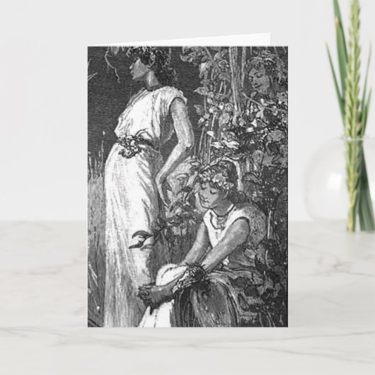 Afrikaanse Amerikaanse Feeën (Vrijgezellenfeest) (Voorkant)