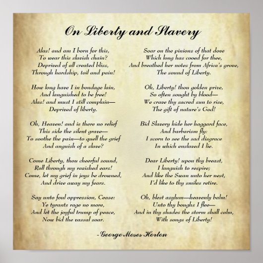 Afrikaanse Amerikaanse poëzie over vrijheid en sla Poster (Voorkant)