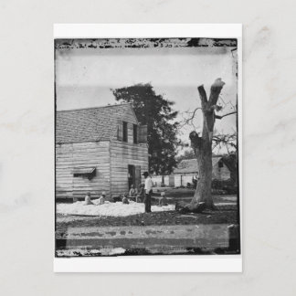 Afrikaanse Amerikanen bereiden katoen ongeveer 186 Briefkaart