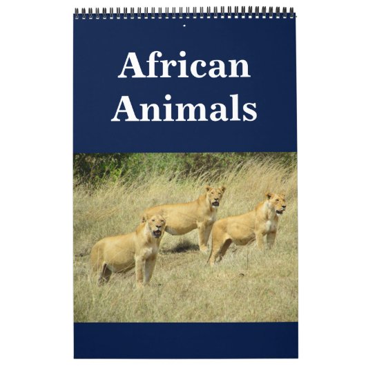 Afrikaanse animalia kalender (Hoes)