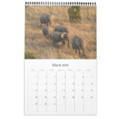 afrikaanse animalia kalender (Mar 2026)