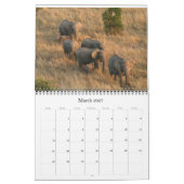 afrikaanse animalia kalender (Mar 2027)