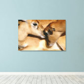 Afrikaanse antilope en flauw canvas afdruk (Insitu (Houten vloer))