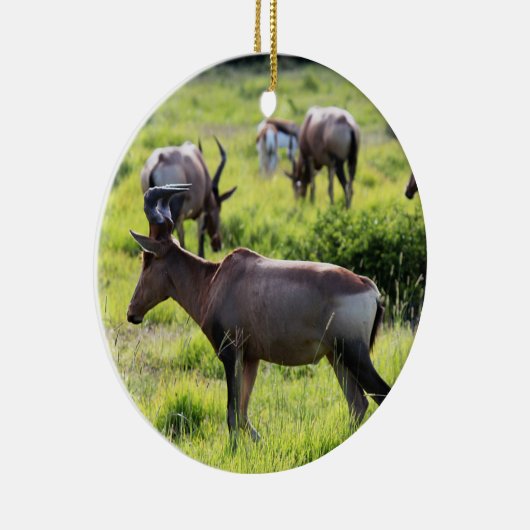 Afrikaanse antilope over Safari in Zuid-Afrika Keramisch Ornament (Rechts)