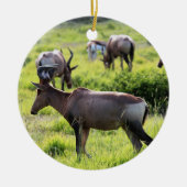 Afrikaanse antilope over Safari in Zuid-Afrika Keramisch Ornament (Voorkant)