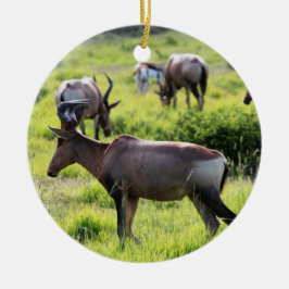 Afrikaanse antilope over Safari in Zuid-Afrika Keramisch Ornament