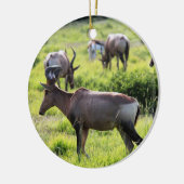 Afrikaanse antilope over Safari in Zuid-Afrika Keramisch Ornament (Links)