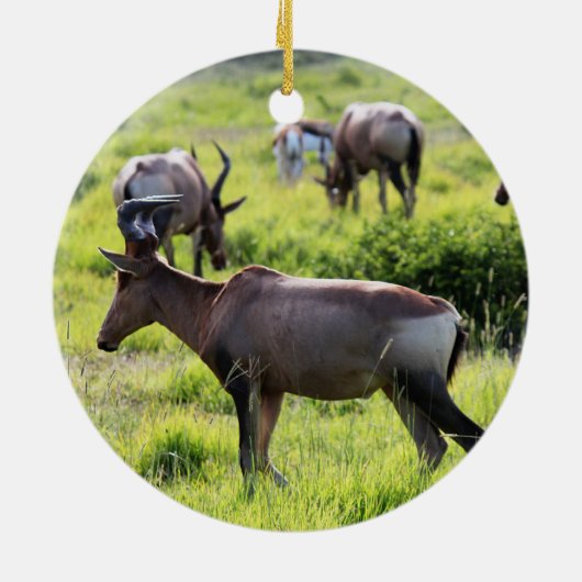 Afrikaanse antilope over Safari in Zuid-Afrika Keramisch Ornament (Achterkant)