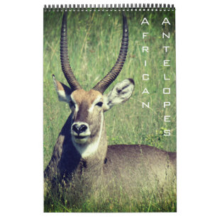Afrikaanse antilope safari 2025 kalender