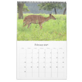 Afrikaanse antilope safari 2026 kalender (Feb 2027)