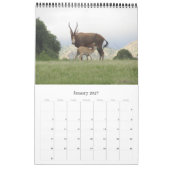 Afrikaanse antilope safari 2027 kalender (Jan 2027)