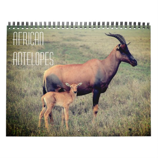 Afrikaanse antilopen 2027 kalender (Hoes)